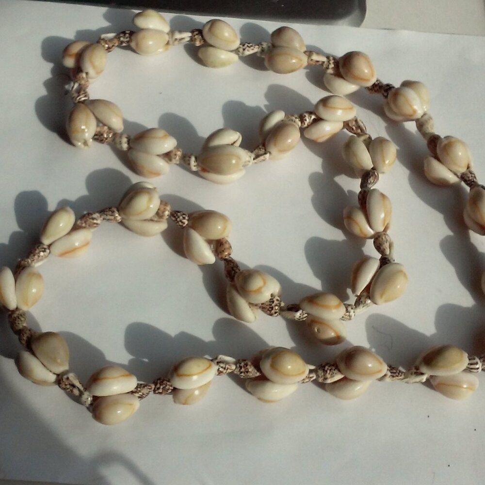 Shell Necklace Well Made Sturdy Hangs 18 inches